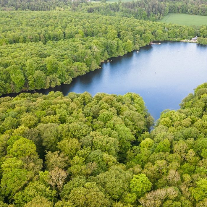 Forêt de Villecartier vue du ciel
